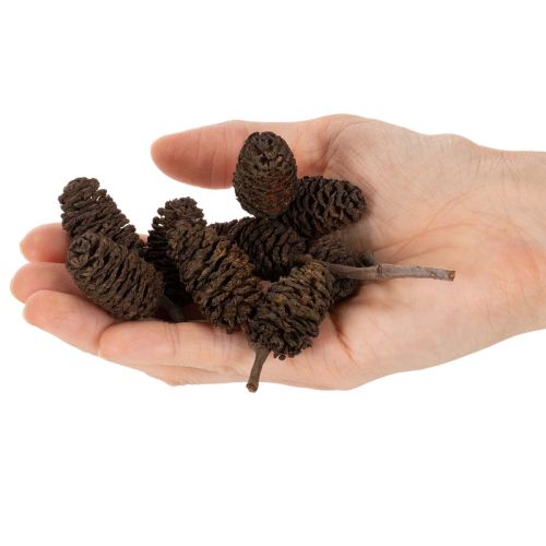 Naturlige ellekogler, løse, til dekoration, 3 cm, 300 g, naturbrun. | Floristik24.dk