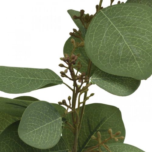 Floristik24 Kunstig deco gren eukalyptus med knopper kunstig plante 60cm