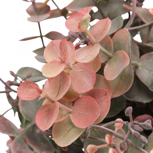 Floristik24 Eucalyptus Bush Kunstig Eucalyptus Rød Grøn 25cm 3 stk