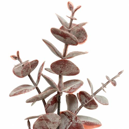 Floristik24 Eucalyptus kunstig Bourgogne 32cm Kunstig plante som ægte!