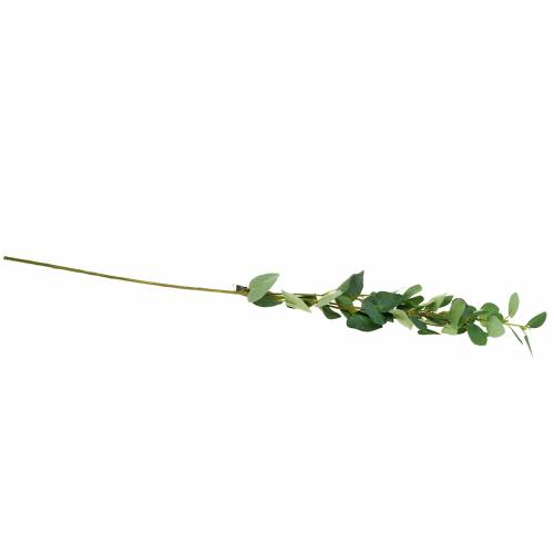 Floristik24 Eukalyptusgren 76cm