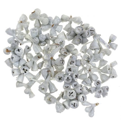 Floristik24 Eucalyptusfrugter voksede hvide 250g
