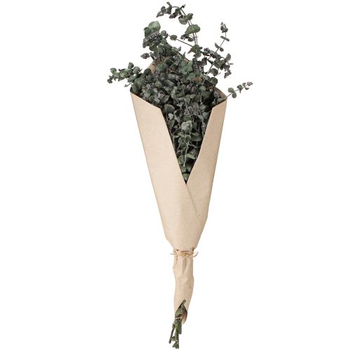 Artikel Eucalyptus Konserverede Grene Blade Runde Grønne 150g