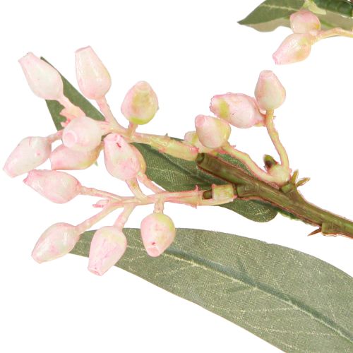 Artikel Eucalyptus Kunstige Gren Blade Knopper 75cm 2stk