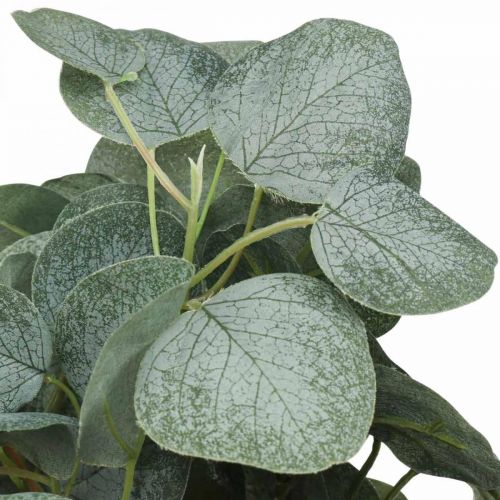 Floristik24 Eucalyptus Bush Kunstige Eucalyptus Blade Grønne 45cm