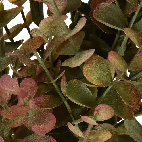 Artikel Kunstig eukalyptuskrans efterårsdekoration eukalyptus Ø36cm