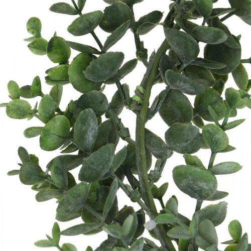 Floristik24 Dekorativ krans eukalyptus grøn Kunstig eukalyptus krans Ø32cm