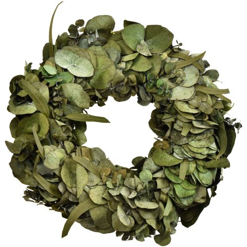 Eukalyptuskrans naturkrans eukalyptus bevaret Ø35cm