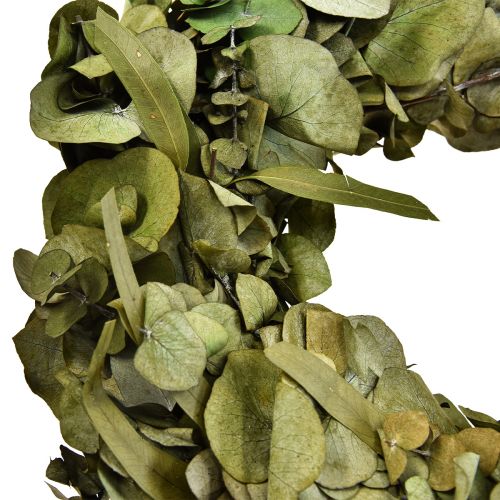 Floristik24 Eukalyptuskrans naturkrans eukalyptus bevaret Ø35cm