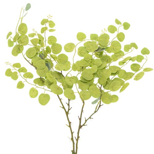 Artikel Dekorativ eukalyptusgren, ideel borddekoration, 120 cm