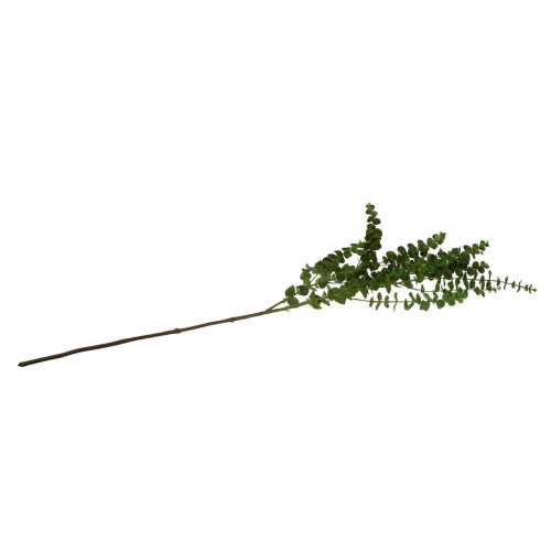 Artikel Eukalyptusgren grøn 130cm