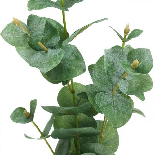Floristik24 Eucalyptus Branch Kunstig Grøn Plante Eucalyptus Deco 75cm