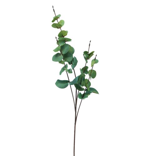 Floristik24 Eukalyptusgren kunstig eukalyptusgrøn 64cm