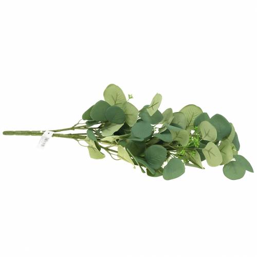 Floristik24 Eukalyptusgren 52 cm