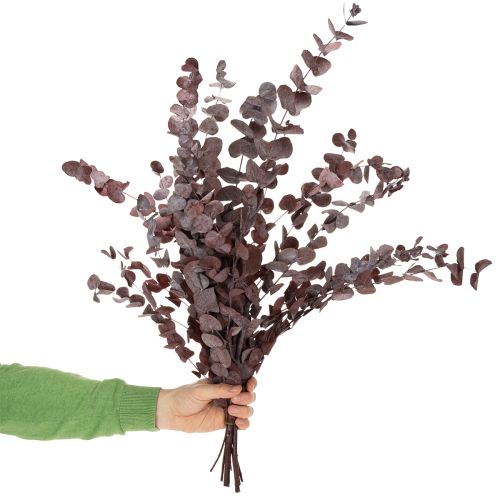 Artikel Eukalyptusgrene, konserveret eukalyptus, tørrede blomster, røde, 75 cm, 150 g