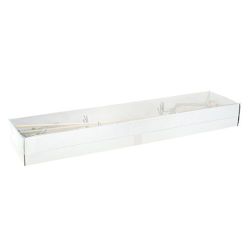 Floristik24 Ugleblomstrop 10 cm 4stk