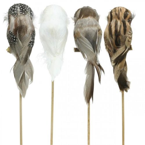 Floristik24 Blomsterprop deco ugle med fjer hvid, brun H15cm 4stk
