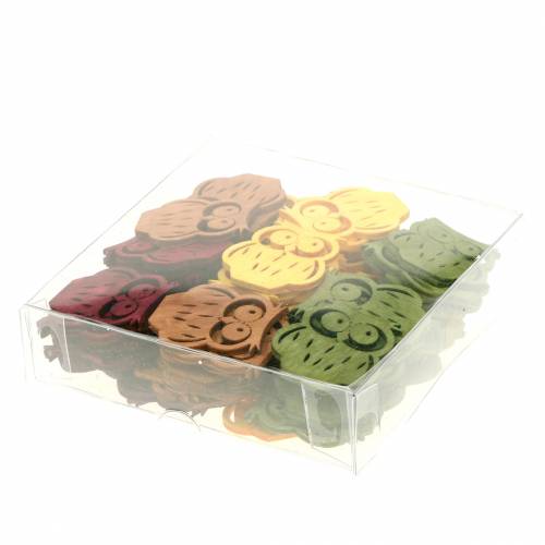 Floristik24 Scatter dekoration ugler træ assorterede farver 4cm 72 stk