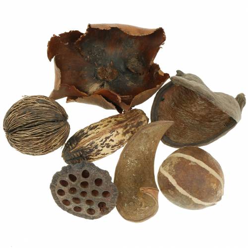 Floristik24 Eksotisk sortiment i nettet 200g