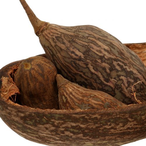 Floristik24 Baobab frugtblanding med skal 300g