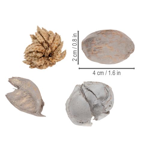 Artikel Potpourri borddekoration med nødder for en naturlig sommerstemning