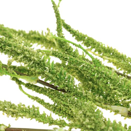 Floristik24 Amaranth Green Cascade Foxtail Kunstig Plante Grøn 95cm