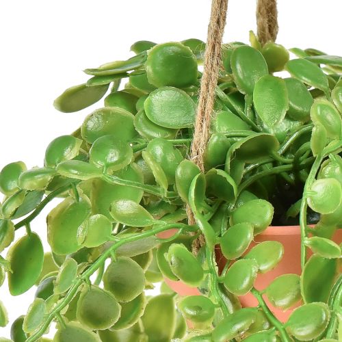 Artikel Kunstige sukkulenter i potte Sedum hængekurv 34cm