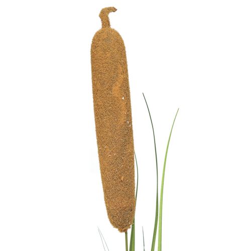 Floristik24 Kunstige planter, kathale kunstig, rørdekoration 92cm