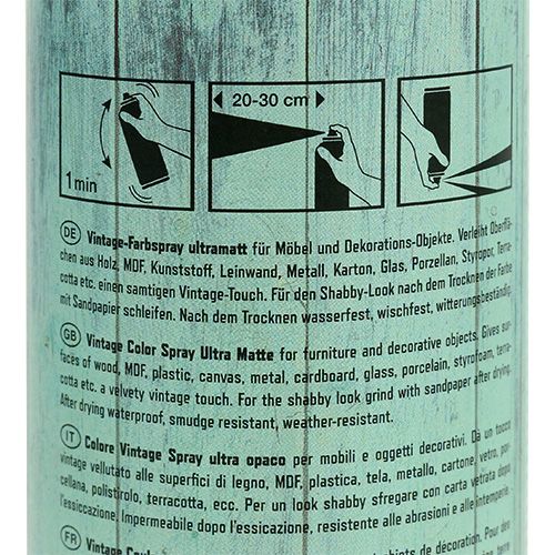 Floristik24 Farve Spray Vintage Grøn 400ml