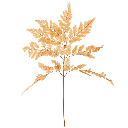 Artikel Bregnedekoration Ægte Bregneblade Orange Konserveret 45cm 10 Stk