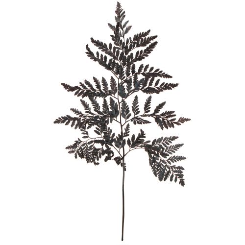 Floristik24 Bregnedekoration Ægte Bregneblade Sorte Konserveret 45cm 10 Stk