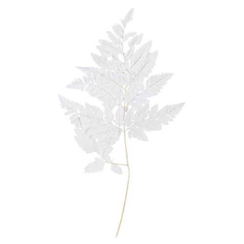 Artikel Bregnedekoration Ægte Bregneblade Hvide Konserveret 45cm 10 Stk