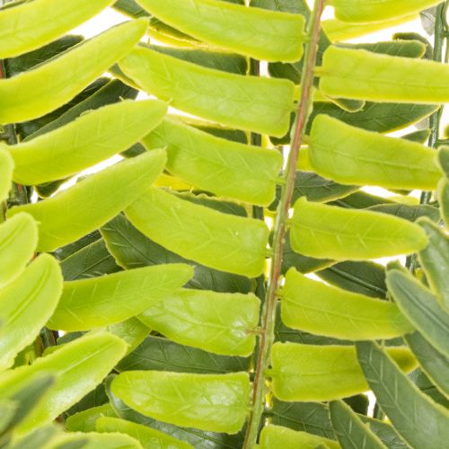Kunstig bregnegren, kunstig grøn plante til dekoration, 45 cm | Floristik24.dk