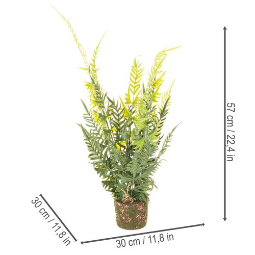 Kunstig bregneplante med rodklump til bolig- og kontordekoration, 57 cm | Floristik24.dk