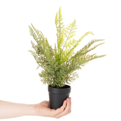 Kunstig bregneplante i potte til indendørs brug, 40 cm | Floristik24.dk