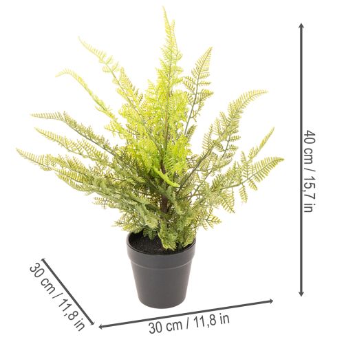 Kunstig bregneplante i potte til indendørs brug, 40 cm | Floristik24.dk