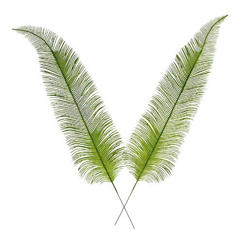 Floristik24 Bregner forlader grøn 59 cm 6stk