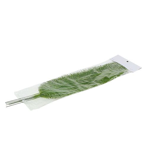 Floristik24 Bregner forlader grøn 59 cm 6stk