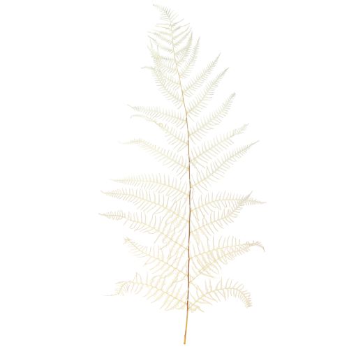 Artikel Bregneblade Hvid Bregnetørret Bleget 50cm 10 stk