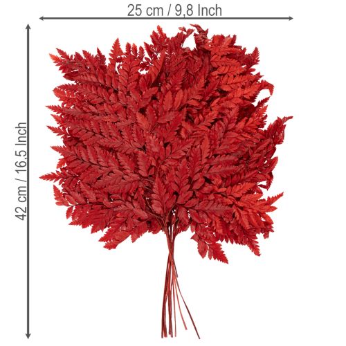 Konserverede og farvede bregneblade, ægte bregne til efterårsarrangementer, 42 cm, 10 stk. | Floristik24.dk