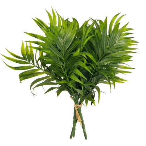 Floristik24 Palmeblade palmetræ dekoration kunstige planter grøn 30cm 3stk