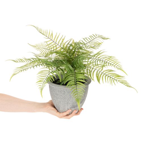 Kunstig bregne i en urtepotte til stue og kontor, 35 cm | Floristik24.dk