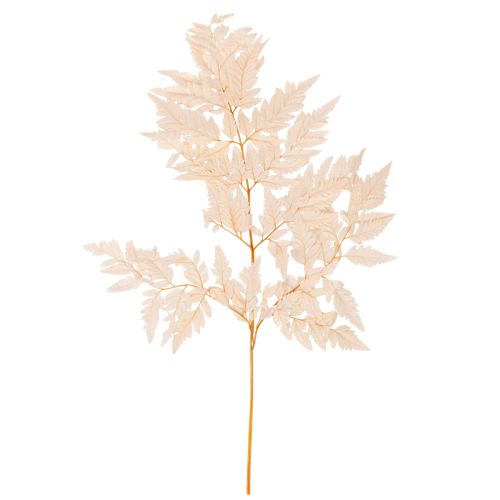 Tørret bregnedekoration til vase 42 cm 10 stk.