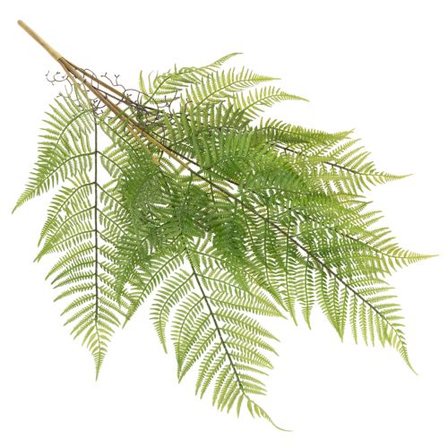 Kunstig bregnegren, dekorativ grøn plante til blomsterarrangementer, 80 cm | Floristik24.dk