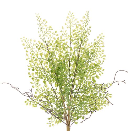 Kunstig grøn Ruscus-gren til blomsterdekoration, 41 cm købe | Floristik24.dk