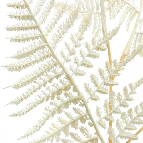 Floristik24 Dekorativ bladbregne, kunstig plante, bregnegren, dekorativt bregneblad hvid L59cm