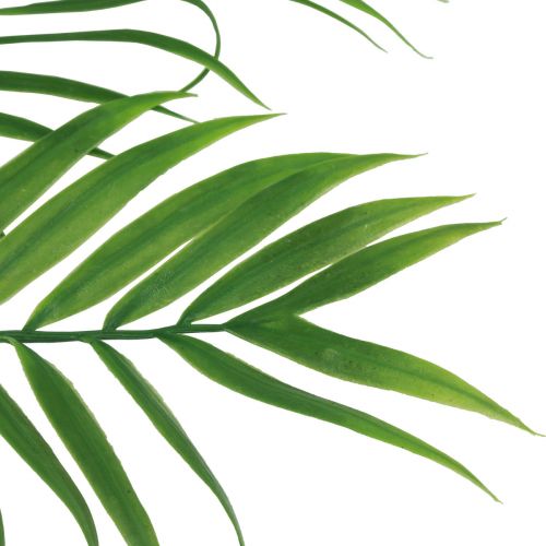 Artikel Kunstige palmeblade Kunstige grønne planter 56cm 3 stk