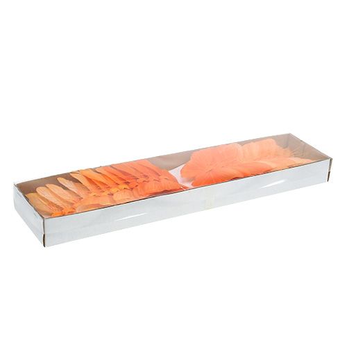 Floristik24 Fjer sommerfugl 8cm orange 24stk
