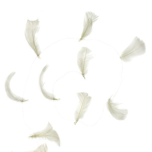 Floristik24 Fjer på trådcreme 10m