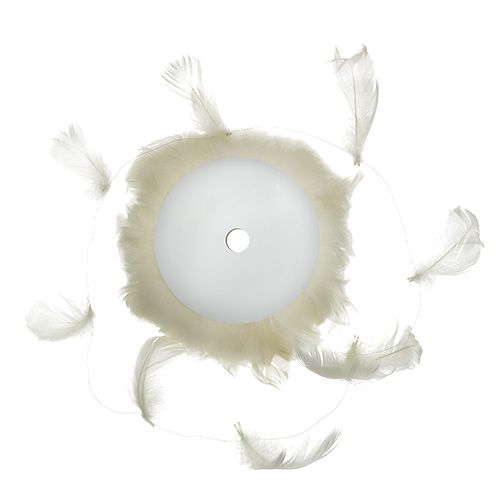 Floristik24 Fjer på trådcreme 10m